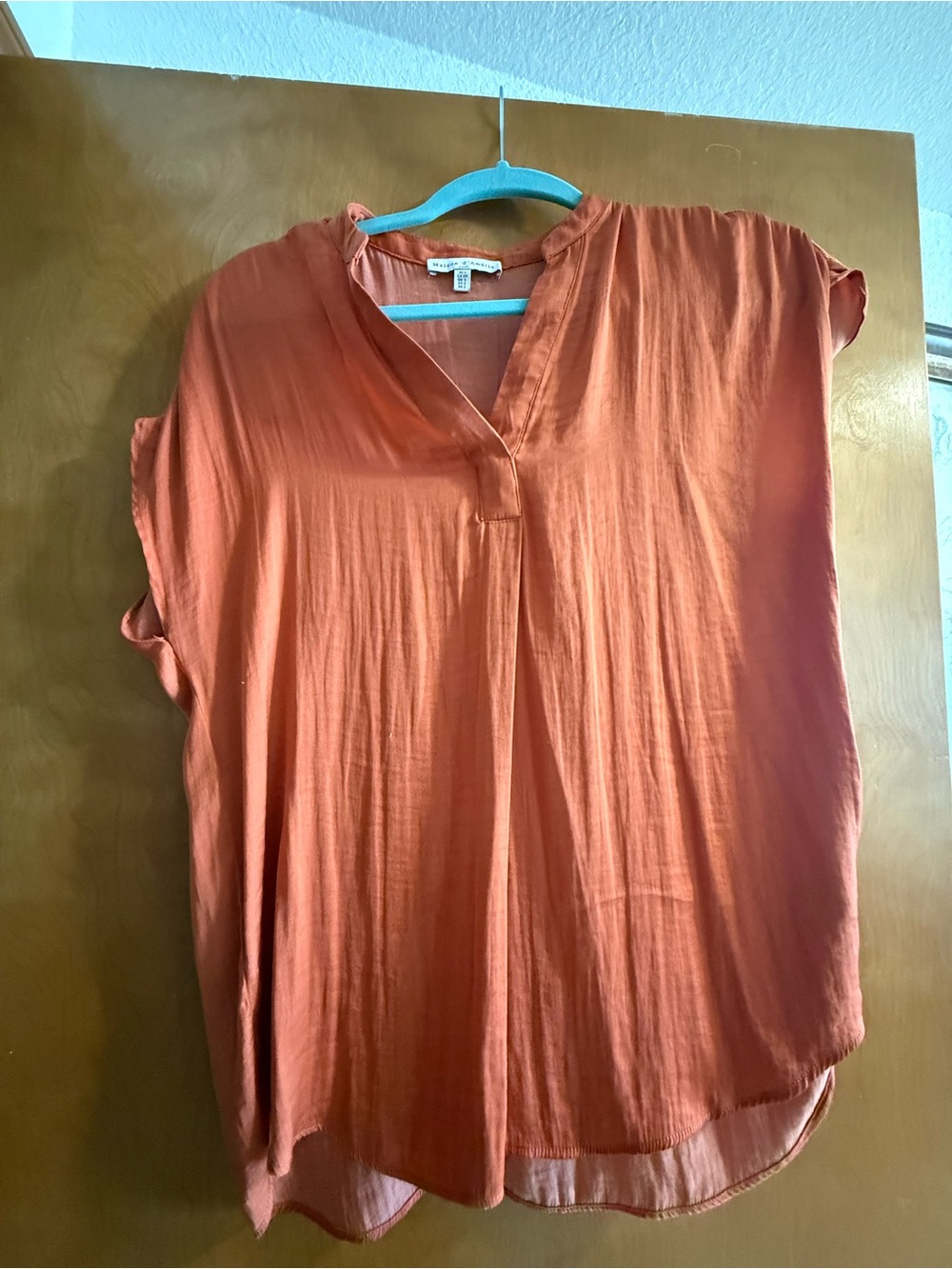 Women's Rust V-Neck Relaxed Tunic